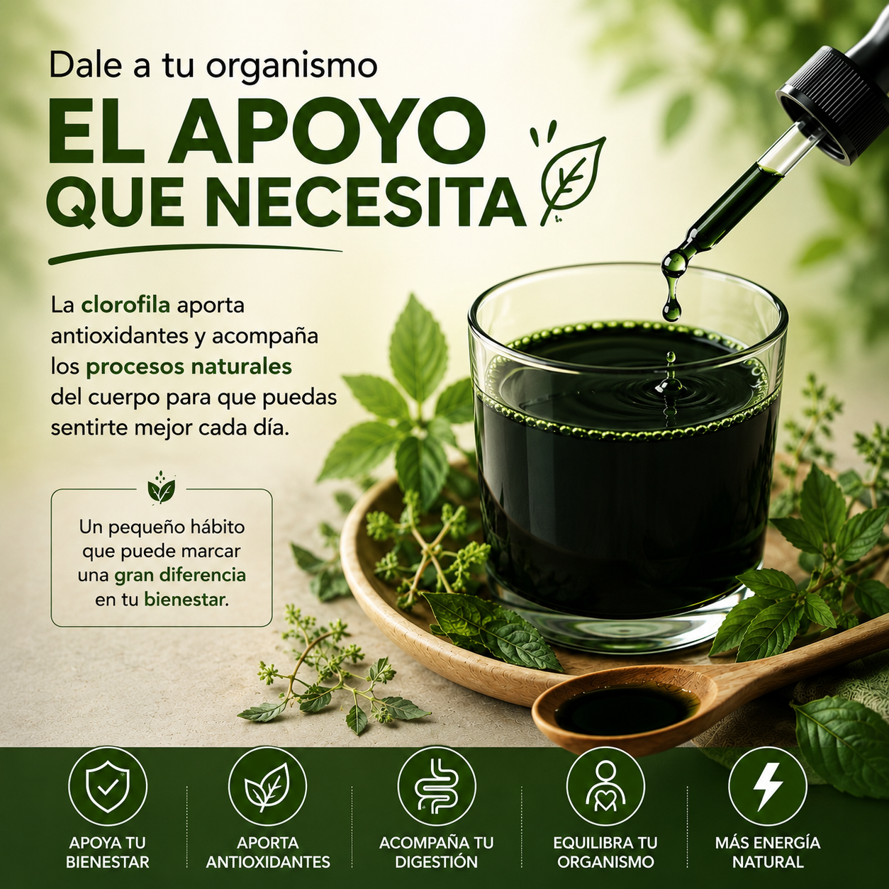 Liquid CHlorophyll: Menos pesadez, mas bienestar.
